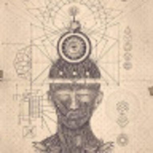 Meet your Posher, Shasta